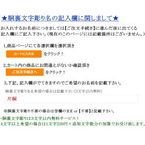剣道 胴 / 石目強化樹脂胴 [胸:翼飾り] ...の詳細画像2
