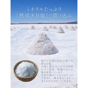 【無添加】つぶれ梅 白干し 無添加 塩のみ 1...の詳細画像4
