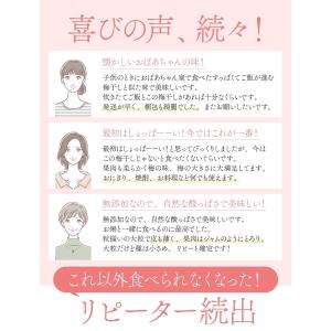 【無添加】つぶれ梅 白干し 無添加 塩のみ 1...の詳細画像5