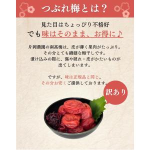 つぶれ梅 しそ 1kg 訳あり 無添加 天然塩...の詳細画像1
