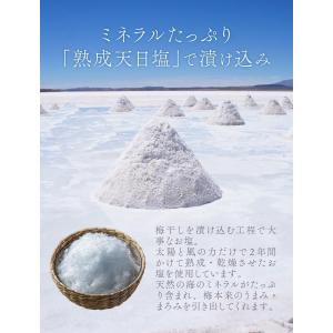 つぶれ梅 しそ 1kg 訳あり 無添加 天然塩...の詳細画像4