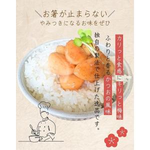 【国産・無添加】梅にんにく 80g 低臭 安心...の詳細画像1