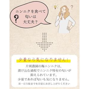 【国産・無添加】梅にんにく 80g 低臭 安心...の詳細画像3