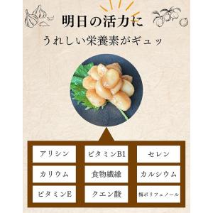 【国産・無添加】梅にんにく 80g 低臭 安心...の詳細画像4
