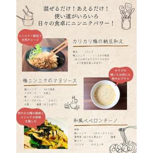 【国産・無添加】梅にんにく 80g 低臭 安心...の詳細画像5