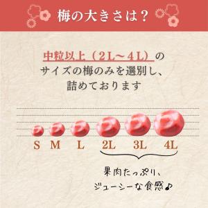 梅干し 訳あり 無添加 しそ味 昔ながらのすっ...の詳細画像5