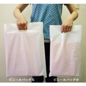 ビニールバッグ 小 【250×H420mm】の詳細画像4