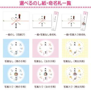 カタログギフト|テイクユアチョイス カーネーシ...の詳細画像1