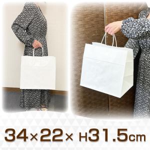 手提げ紙袋 白無地(HV75) 【340×220...の商品画像
