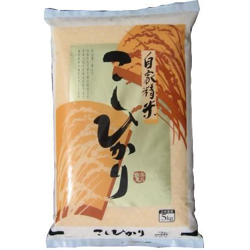 栃木県産コシヒカリ【玄米5kgを精米・無洗米加工】