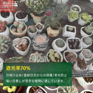 日よけベランダ シェード 植物サンシェード 遮...の詳細画像2