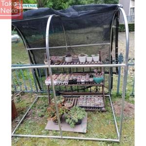 日よけベランダ シェード 植物サンシェード 遮...の詳細画像5