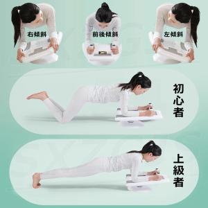 腹筋 トレーニング バランスボード 体幹ボード...の詳細画像5