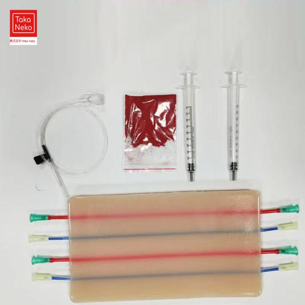 医学生、医師、看護師の練習のための4つの静脈が埋め込まれた3つの皮膚層を備えた静脈穿刺トレーニングパ...