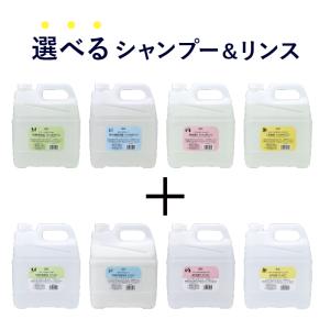 ゾイック Nシリーズ 選べるシャンプーリンスセット 4000ml×2 犬猫用　｜カチオン