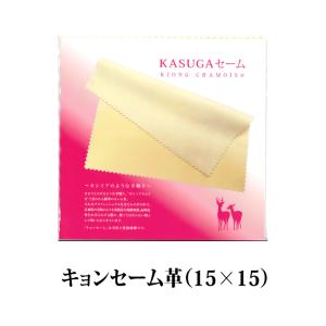 CAPD】入浴用パックデラックス A−1 （一般タイプ） : パルストア