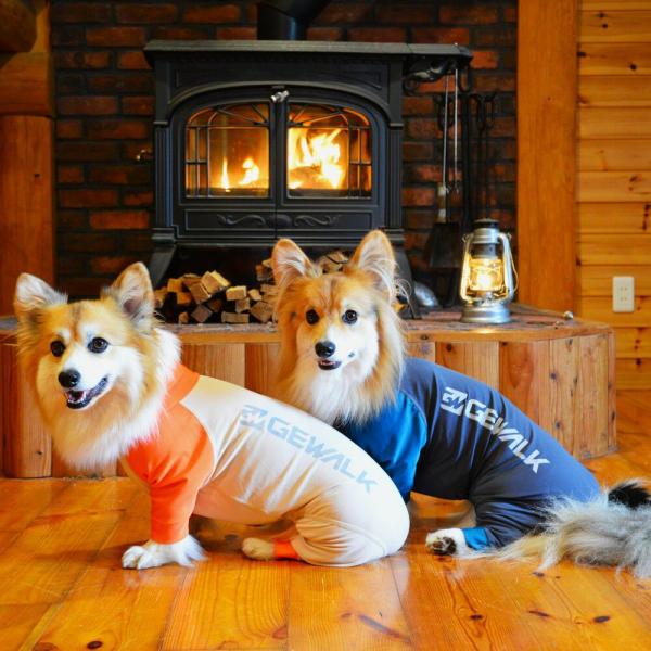 GEWALK 光電子 ロンパース サイズCG (コーギー専用) | 遠赤外線で温める秋冬ドッグウェア