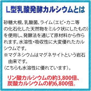 ニューサイエンス かるまぐ家族 粉 (大) 2...の詳細画像2