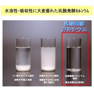 ニューサイエンス かるまぐ家族 粉 (大) 2...の詳細画像3