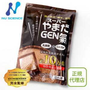 ニューサイエンス スーパーやまだGEN氣