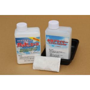 カットくんエースセット（カットくんエース＋プライマー＋小布ハケ）　【ご家庭用・色あせた塗装面を再生します】