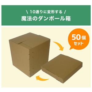 最新版　箱変形のため格安セール　随便果　10箱セット　未開封品A ヤマニパッケージ 柿の箱一段A式 L-2207 1ケース(50:10枚結束)（直送品