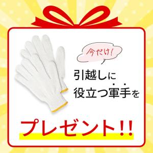 引っ越しセット Lセット 段ボール ダンボール...の詳細画像5