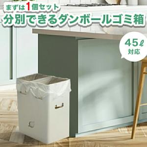 ゴミ袋が沈まない 分別ゴミ箱 2WAYダストボックス 4個 ダンボール