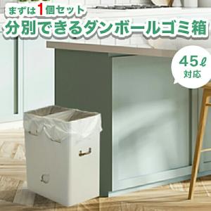 ゴミ袋が沈まない 分別ゴミ箱 ２ＷＡＹダストボックス １個 ダンボール 45L 45リットル 20L...