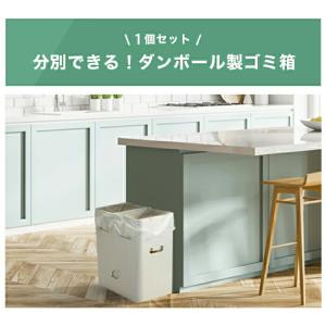ゴミ袋が沈まない 分別ゴミ箱 2WAYダストボ...の詳細画像1