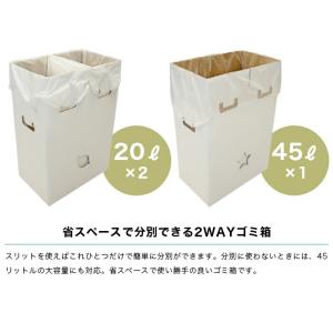 ゴミ袋が沈まない 分別ゴミ箱 2WAYダストボ...の詳細画像2