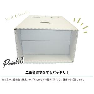 ゴミ袋が沈まない 分別ゴミ箱 2WAYダストボ...の詳細画像5