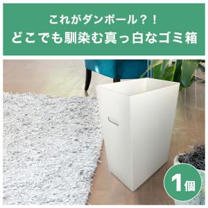 ダンボール ゴミ箱 45L 45リットル ゴミ...の詳細画像1