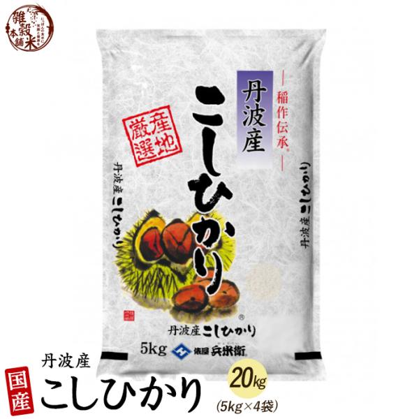 コシヒカリ 20kg(5kg×4袋) 丹波産 選べる 白米 無洗米 令和5年産 単一原料米