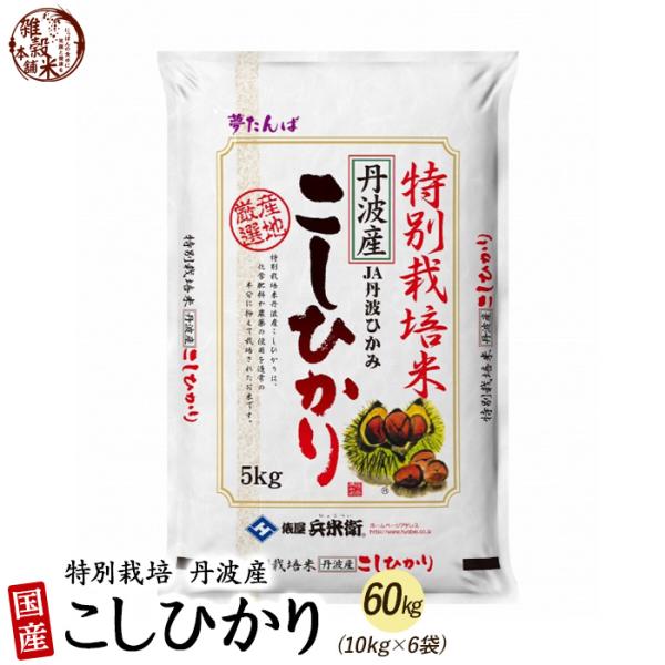 特別栽培米 コシヒカリ 60kg(5kg×12袋) 丹波産 令和5年産 単一原料米