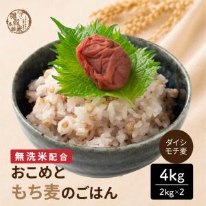 【無洗米入り雑穀】 雑穀 雑穀米 国産 おこめと...の商品画像