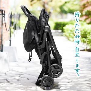 ベビーカー 二人乗りベビーカー Joie ジョ...の詳細画像2