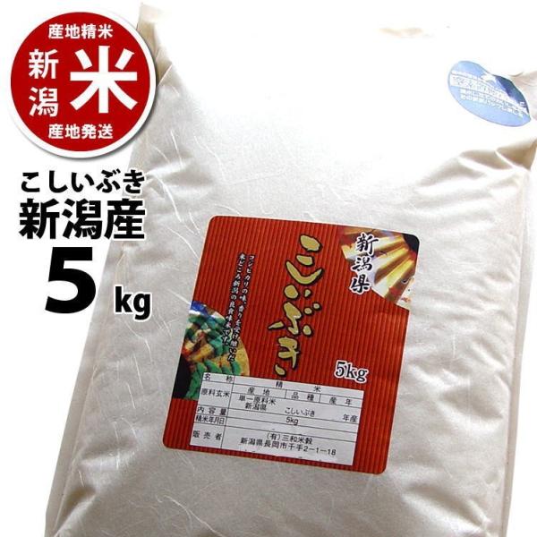 こしいぶき 5kg 新潟産 新潟米 送料無料  令和5年度産 産地直送 特産品 名物商品