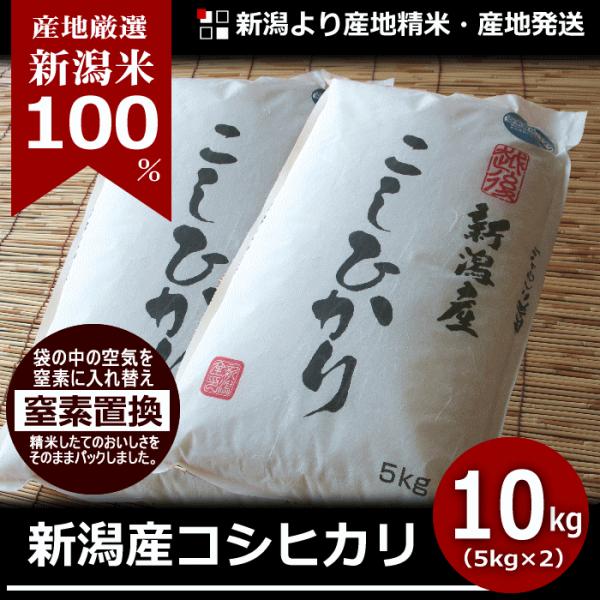 コシヒカリ 10kg 新潟産 新潟米  令和5年度産 産地直送 特産品 名物商品 5kg×2袋