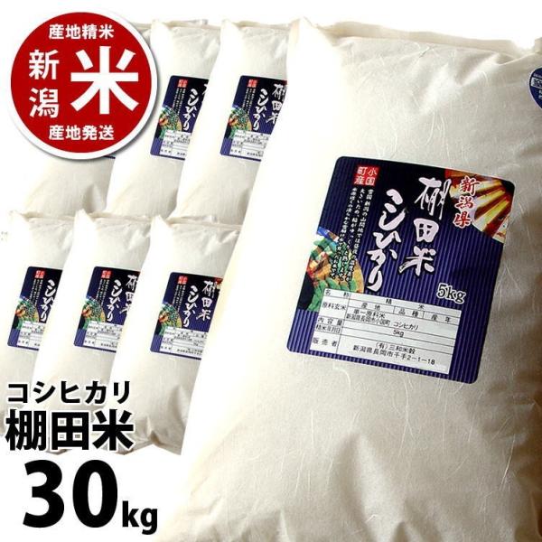 新米入荷 【まとめ買い割引】コシヒカリ 30kg 小国町産 棚田米  令和7年度産 新潟米 産地直送...