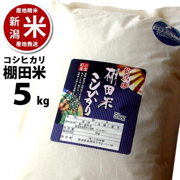 新米入荷 コシヒカリ 5kg 小国町産 棚田米  令和7年度産 新潟米 産地直送 特産品 名物商品