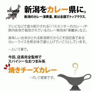おかき あられ お菓子 焼きチーズカレー スパ...の詳細画像2