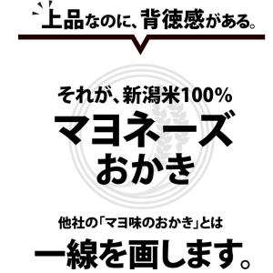 山盛りマヨネーズおかき 訳あり クラフト大袋×...の詳細画像5