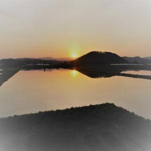 新米北海道産 白米ゆめぴりか10kg 1等米 ...の詳細画像5