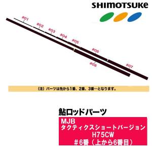 DAIWA（ダイワ） 渓流竿 エキスパート ゼロ TT カスタム(EXPERT ZERO