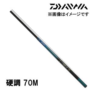 DAIWA（ダイワ） 渓流竿 春渓 S中硬硬 61M・V 116084 : カツキネット