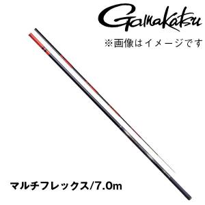 Gamakatsu（がまかつ） 鮎竿 マルチフレックス100 伸徹（しんてつ）III