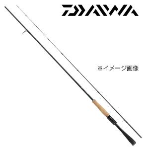 DAIWA（ダイワ） スティーズ [STEEZ] 【FIRE FLASH】SC S64L-2・SV・ST