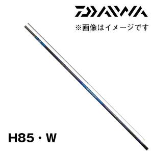 DAIWA（ダイワ） 鮎竿 銀影競技スペシャル TYPE S 90・Q（2022年新製品
