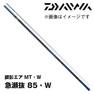 DAIWA(釣り) ダイワ 鮎竿 23銀影エア MT 急瀬抜 85・W【23年新 DAIWA(釣り) ダイワ 鮎竿 23銀影エア MT 急瀬抜 85・W【23年新